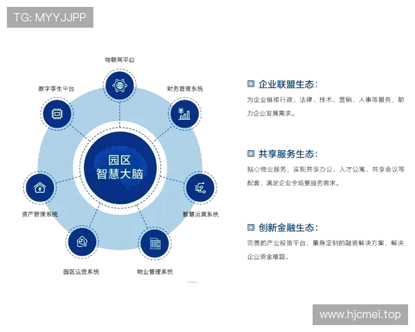 中小企业家如何在数字化浪潮中实现转型升级与可持续发展